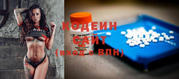 крисы Бронницы