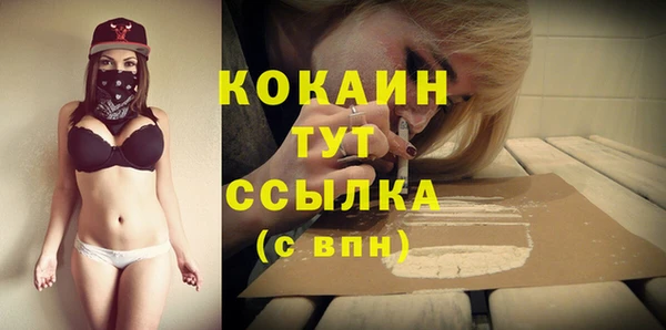 крисы Бронницы