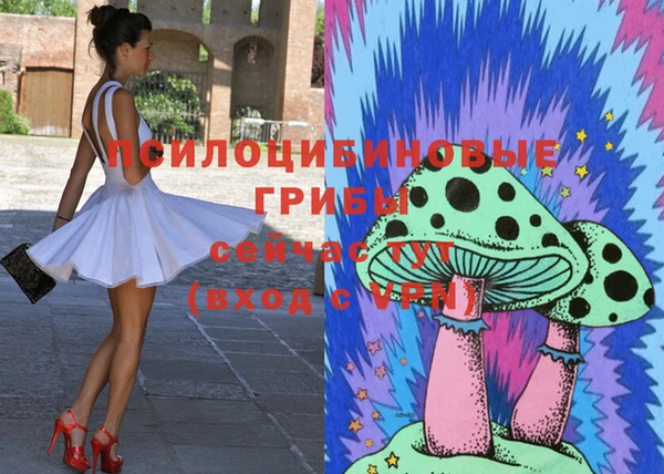 крисы Бронницы