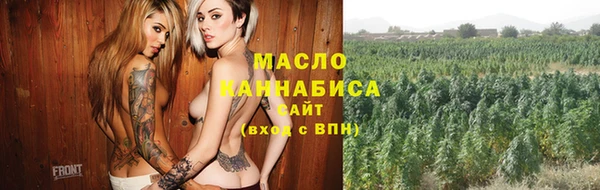 крисы Бронницы