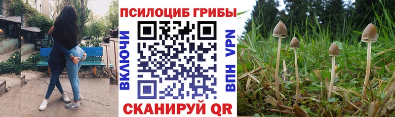Псилоцибиновые грибы ЛСД Сосногорск