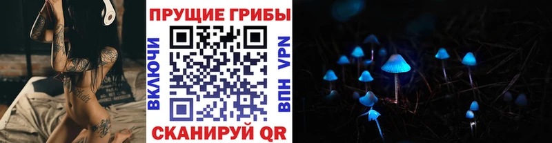 Псилоцибиновые грибы GOLDEN TEACHER  Сосногорск 